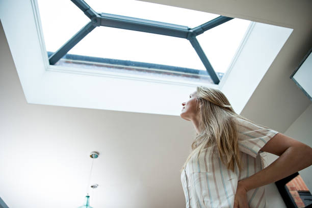 skylight domes replacement